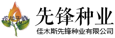 廣州訊博網(wǎng)絡(luò)科技有限公司